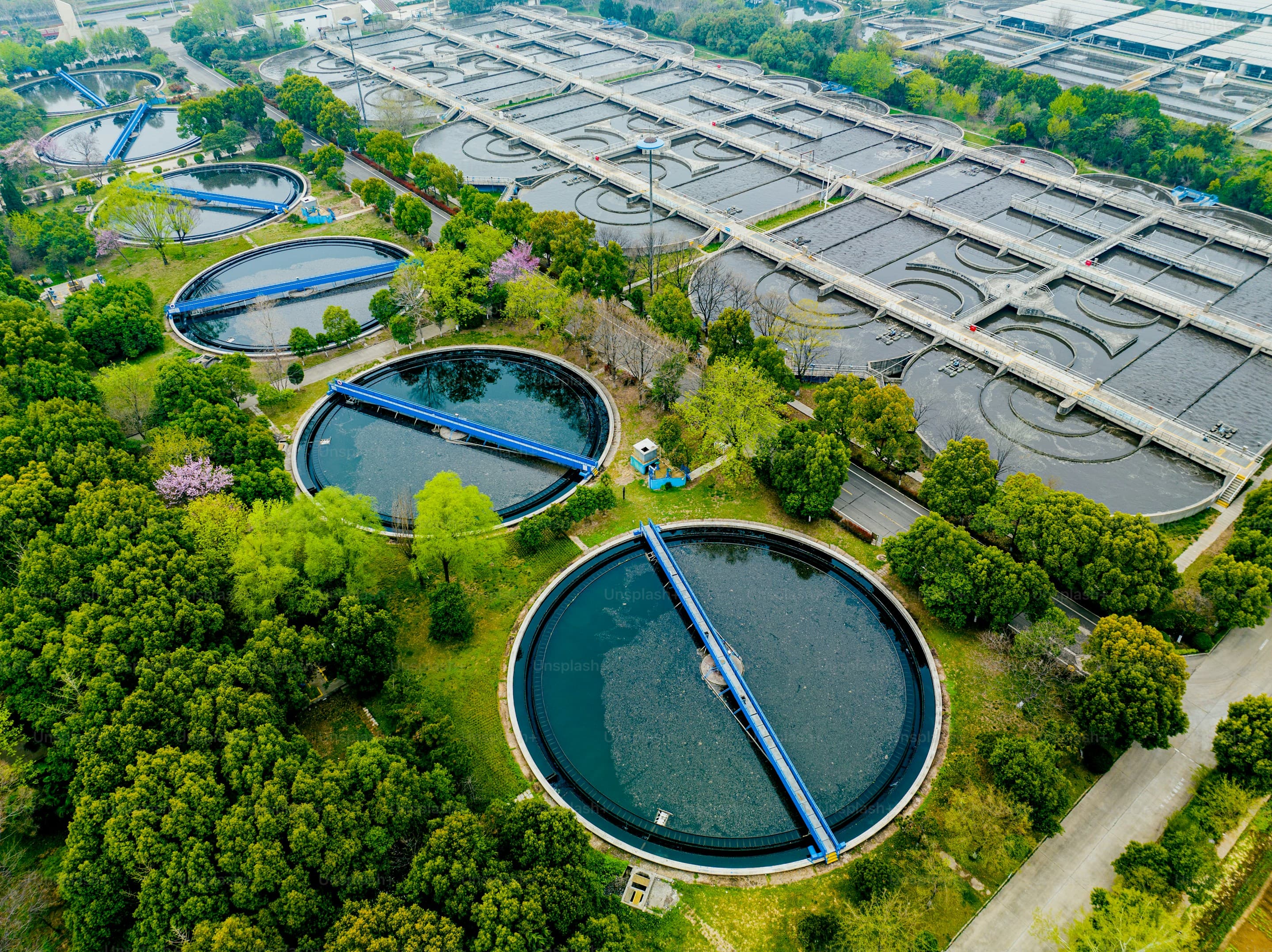 Complete Guide to Fish Farm Layout Planning