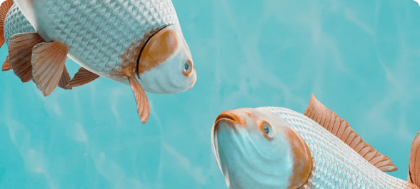 National Fish Production Farm