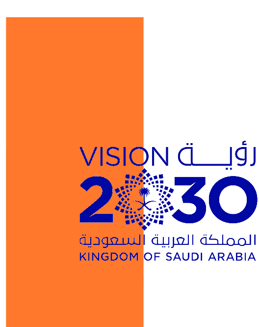 Vision 2030