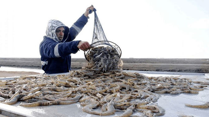Biosecurity Best Practices for Fish Farms