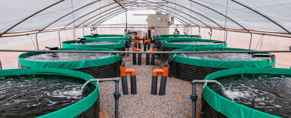 Applied Foundation Programs